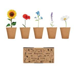 Visuel Flowers