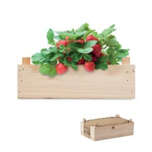 Visuel Strawberry