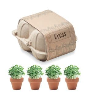 Visuel Cress