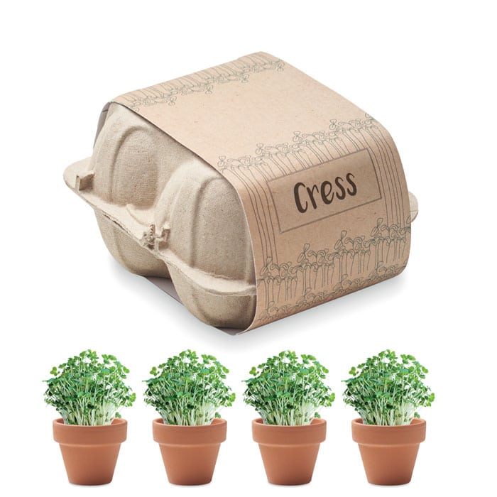 Miniature 1 pour Cress