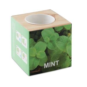 Visuel Menta