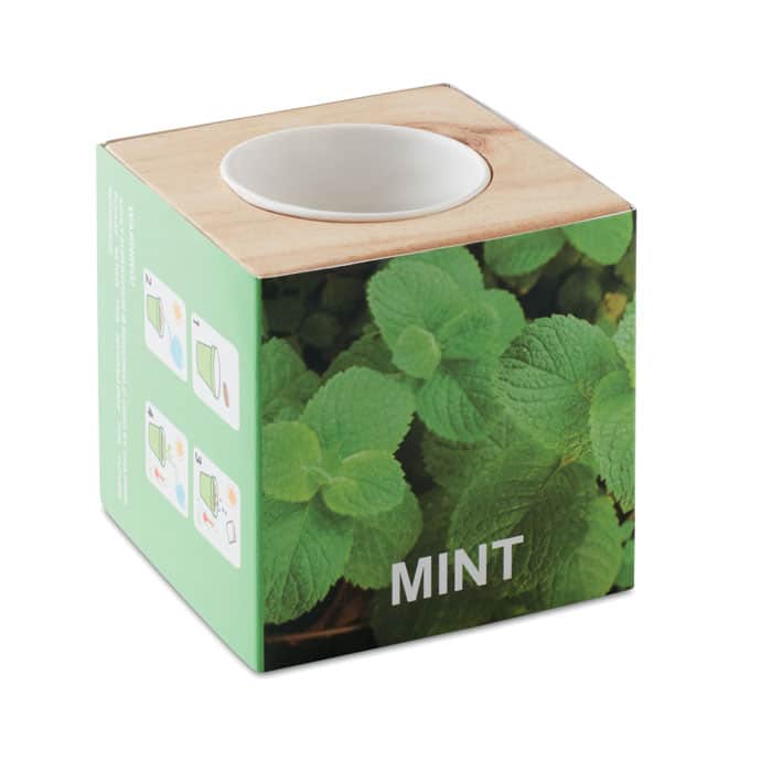 Miniature 1 pour Menta