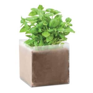 Visuel Basil