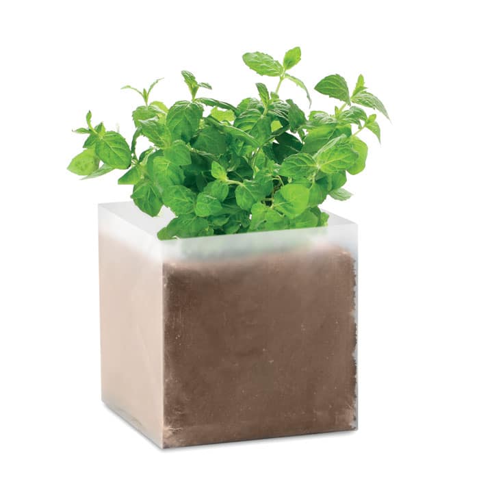 Miniature 1 pour Mint
