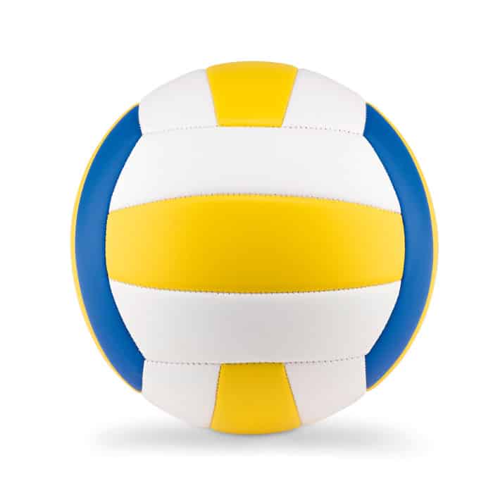 Miniature 1 pour Volley