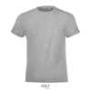 gris-chine