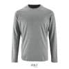 gris-chine