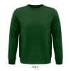 vert-bouteille