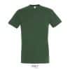 vert-bouteille