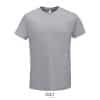 gris-pur