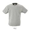 gris-chine
