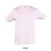 rose-pale