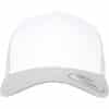 silver-white