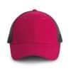 fuchsia-dark-grey