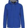 light-royal-blue