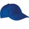 royal-blue