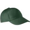 forest-green