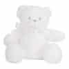 white-teddy