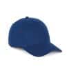 royal-blue