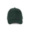 forest-green