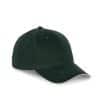 forest-green-beige