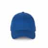royal-blue