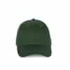 forest-green