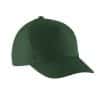 forest-green