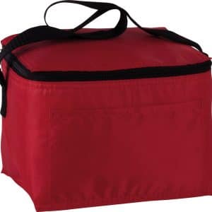 Visuel Mini sac isotherme