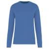 light-royal-blue
