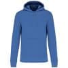 light-royal-blue