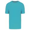 light-turquoise