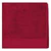 hibiscus-red