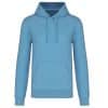 cloudy-blue-heather