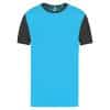 light-turquoise-dark-grey