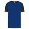 dark-royal-blue-black