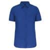 light-royal-blue