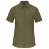 light-khaki