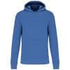 light-royal-blue