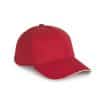hibiscus-red-ivory
