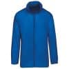 light-royal-blue