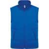 light-royal-blue