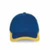 royal-blue-yellow