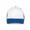 white-royal-blue