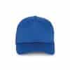 royal-blue