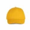 yellow-dark-grey