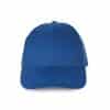 royal-blue