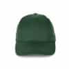 forest-green