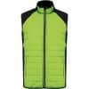 lime-black