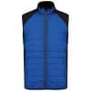 dark-royal-blue-black